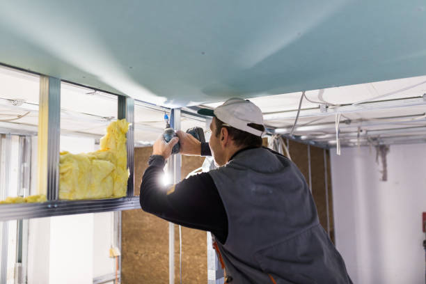 Best Energy Efficiency Insulation in Shawneetown, IL