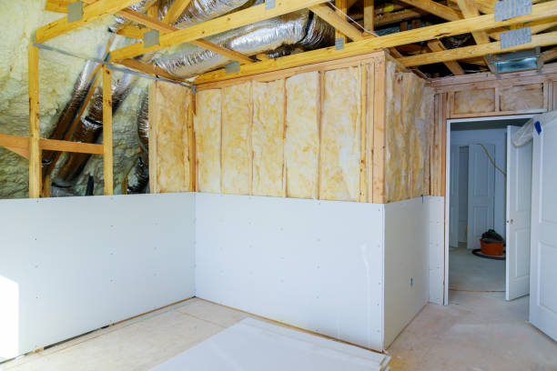 Best Geographic-Specific Insulation Services in Shawneetown, IL