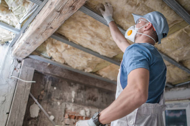 Best Residential Insulation in Shawneetown, IL