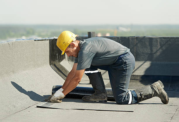 Best DIY Insulation Kits and Guidance in Shawneetown, IL