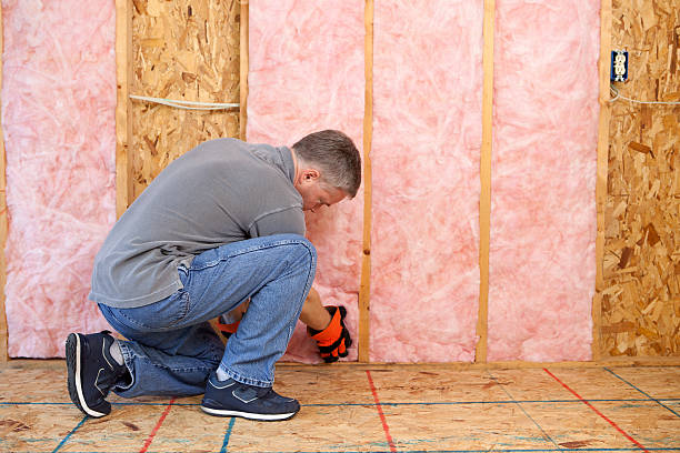 Best Insulation Maintenance and Repair in Shawneetown, IL