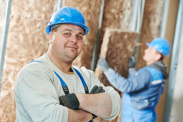 Best Cellulose Insulation in Shawneetown, IL