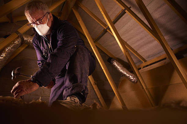 Types of Insulation We Offer in Shawneetown, IL